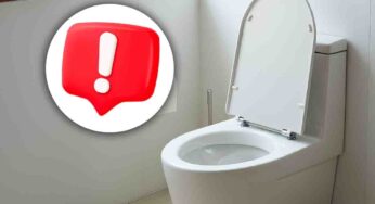Sempre buttata via e poi ho scoperto che è l’unica cosa che davvero igienizza il water