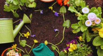 La pacciamatura: coccola le tue piante prima che sia troppo tardi. A primavera mi ringrazierai